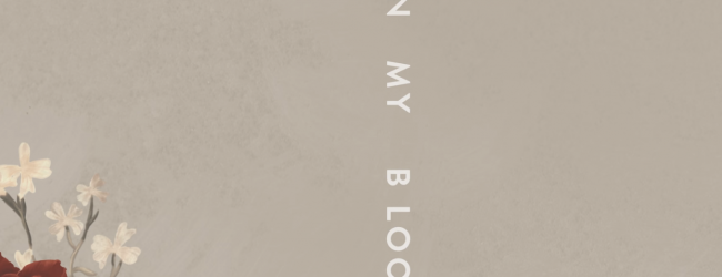 Shawn Mendes – In My Blood