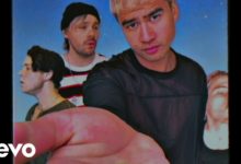 5 Seconds of Summer – Wildflower (Music Video)